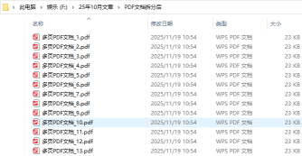 10.20文章 如何拆分多页的PDF文档并整版排版拆分后的PDF文件563.png
